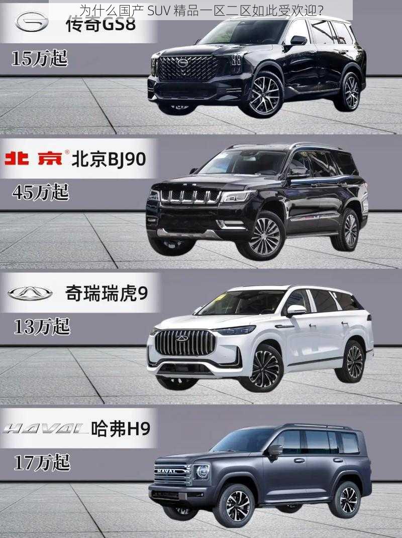 为什么国产 SUV 精品一区二区如此受欢迎？