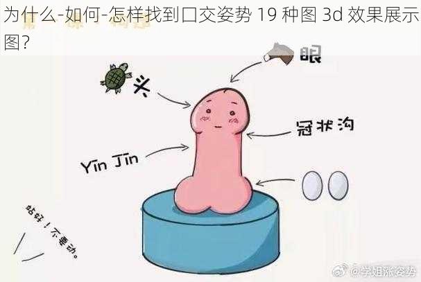 为什么-如何-怎样找到囗交姿势 19 种图 3d 效果展示图？