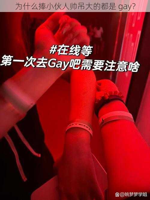 为什么捧小伙人帅吊大的都是 gay？