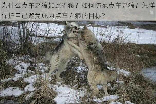 为什么点车之狼如此猖獗？如何防范点车之狼？怎样保护自己避免成为点车之狼的目标？