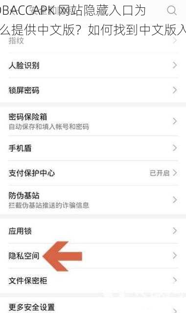 KDBACCAPK 网站隐藏入口为什么提供中文版？如何找到中文版入口？