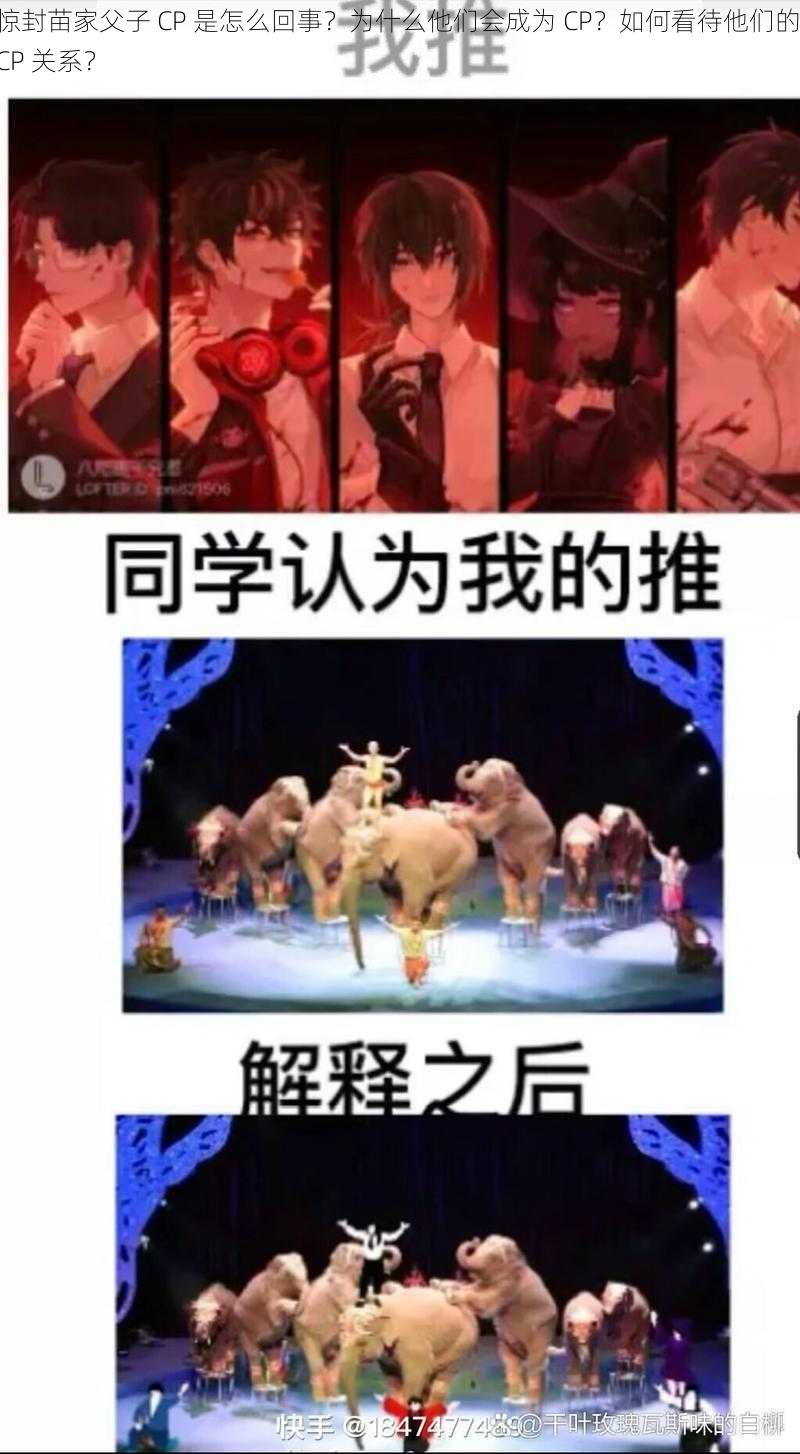 惊封苗家父子 CP 是怎么回事？为什么他们会成为 CP？如何看待他们的 CP 关系？