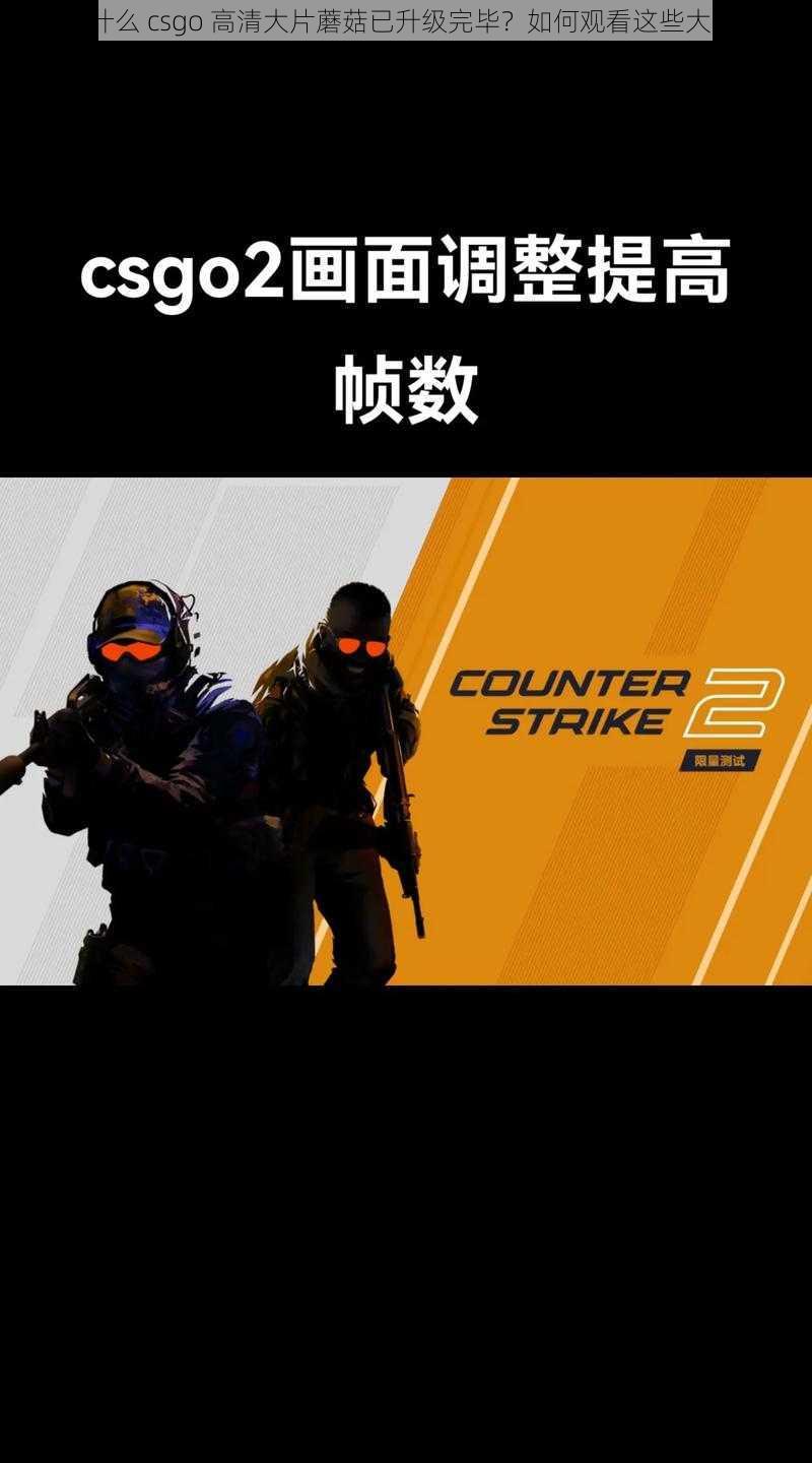 为什么 csgo 高清大片蘑菇已升级完毕？如何观看这些大片？