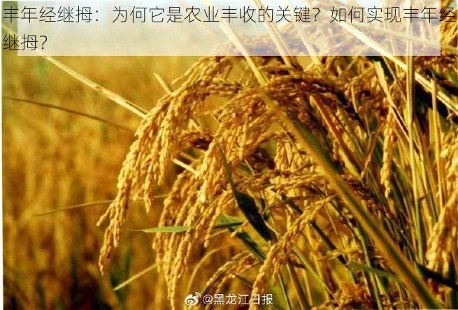 丰年经继拇：为何它是农业丰收的关键？如何实现丰年经继拇？