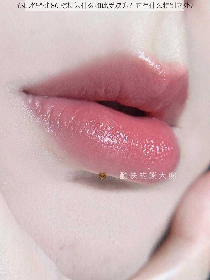 YSL 水蜜桃 86 棕榈为什么如此受欢迎？它有什么特别之处？