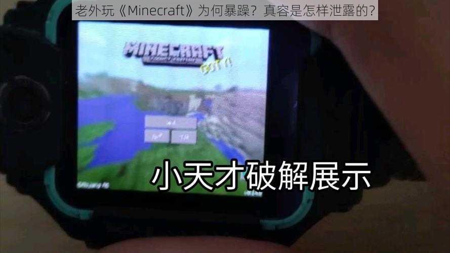 老外玩《Minecraft》为何暴躁？真容是怎样泄露的？