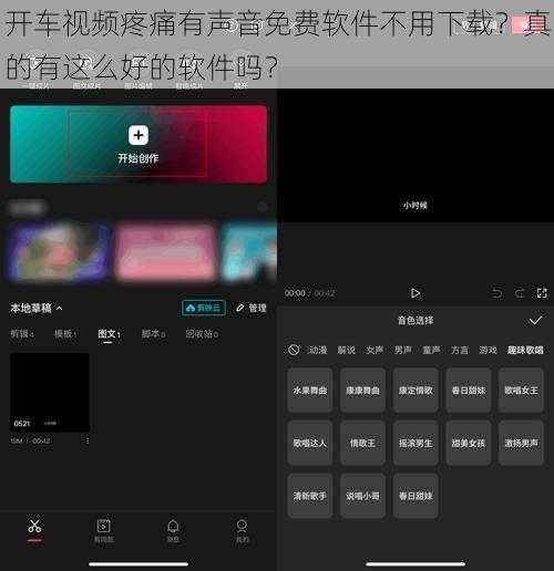 开车视频疼痛有声音免费软件不用下载？真的有这么好的软件吗？