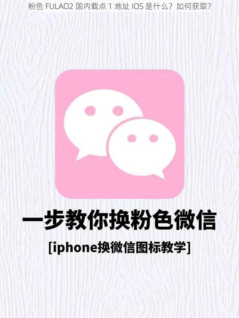 粉色 FULAO2 国内载点 1 地址 IOS 是什么？如何获取？