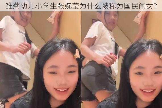 雏菊幼儿小学生张婉莹为什么被称为国民闺女？