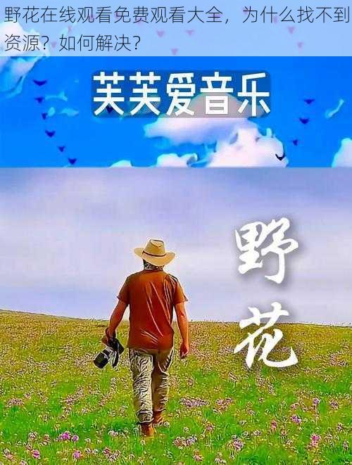 野花在线观看免费观看大全，为什么找不到资源？如何解决？