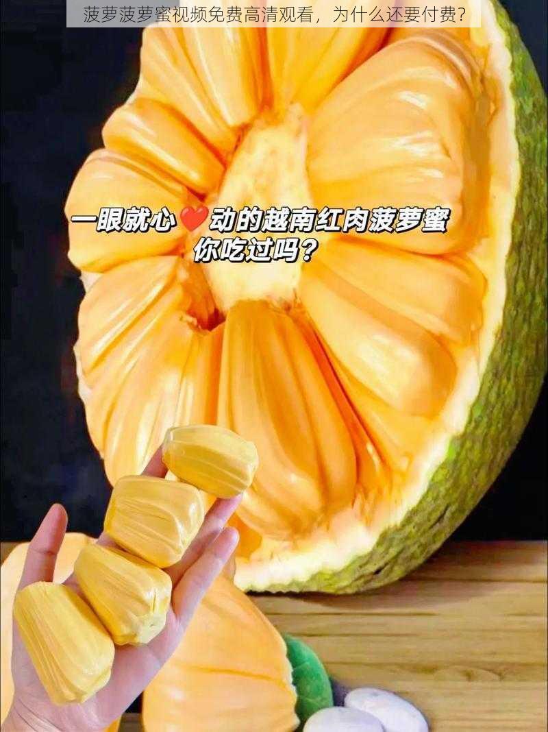 菠萝菠萝蜜视频免费高清观看，为什么还要付费？