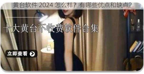 黄台软件 2024 怎么样？有哪些优点和缺点？