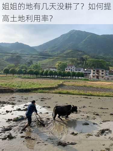 姐姐的地有几天没耕了？如何提高土地利用率？