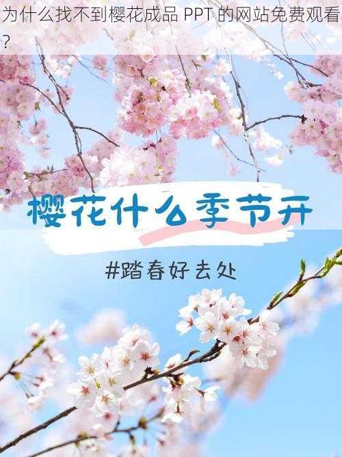 为什么找不到樱花成品 PPT 的网站免费观看？