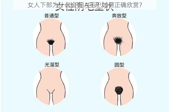 女人下部为什么会有 A 毛？如何正确欣赏？