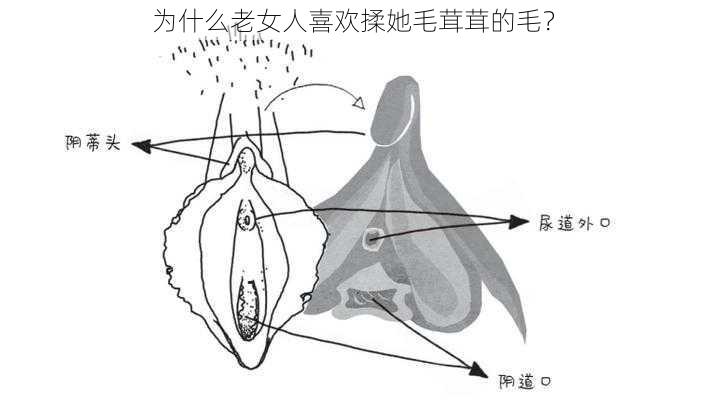 为什么老女人喜欢揉她毛茸茸的毛？