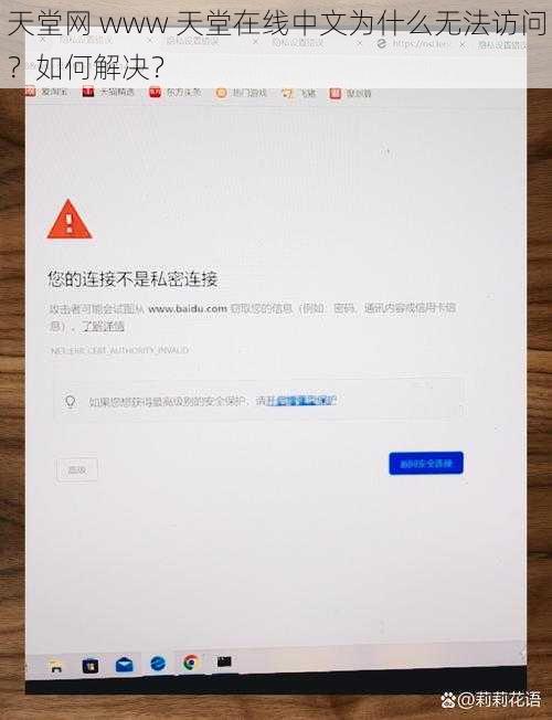 天堂网 www 天堂在线中文为什么无法访问？如何解决？