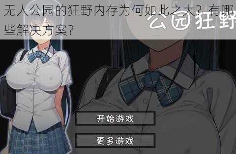 无人公园的狂野内存为何如此之大？有哪些解决方案？